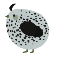 A silver and black chicken with a speckle pattern