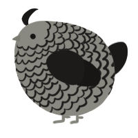 A ash and sable chicken with a lace pattern
