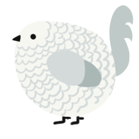 A white and silver chicken with a lace pattern