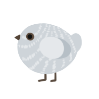 A mist chicken with a bar pattern