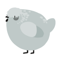 A silver chicken with a neck-speckle pattern