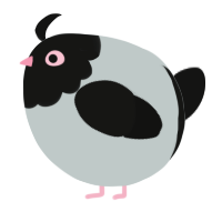 A silver and black chicken with a head pattern