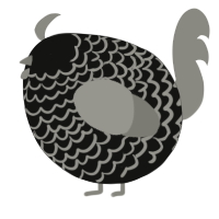 A black and ash chicken with a lace pattern