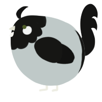 A silver and black chicken with a head pattern
