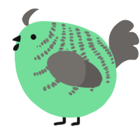 A spring and grey chicken with a half-bar pattern
