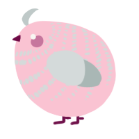 A rose and silver chicken with a bar pattern