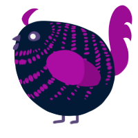 A tumblr and plum chicken with a bar pattern