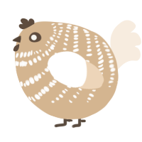 A beige and cream chicken with a bar pattern