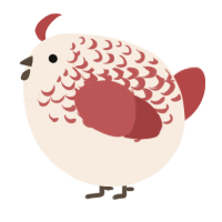 A cream and red chicken with a half-lace pattern