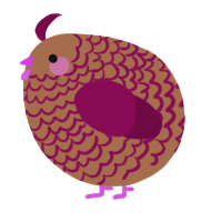A brown and wine chicken with a lace pattern