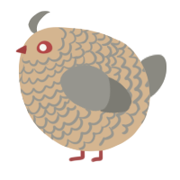 A beige and ash chicken with a lace pattern