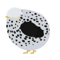 A mist and black chicken with a speckle pattern