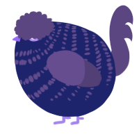 A navy and overcast chicken with a bar pattern