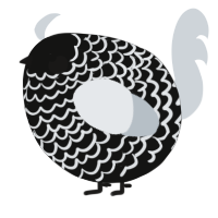 A black and mist chicken with a lace pattern