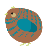 A brown and sea chicken with a bar pattern