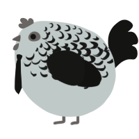 A silver and black chicken with a half-lace pattern
