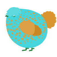 A aqua and orange chicken with a speckle pattern