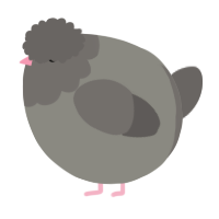 A ash and grey chicken with a head pattern