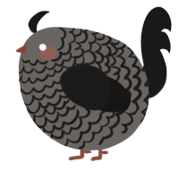 A grey and sable chicken with a lace pattern