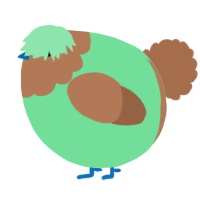 A spring and brown chicken with a head pattern