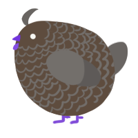 A bark and grey chicken with a lace pattern