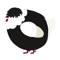 A sable and white chicken with a head pattern