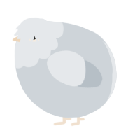 A mist chicken with a head pattern
