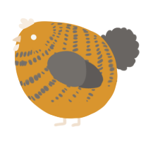 A orange and grey chicken with a bar pattern