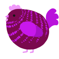 A wine and amethyst chicken with a bar pattern