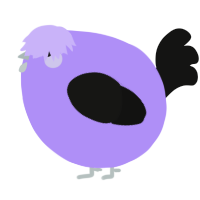 A lilac and black chicken