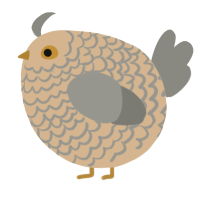 A beige and ash chicken with a lace pattern