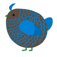 A bark and sapphire chicken with a lace pattern