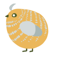 A honey and silver chicken with a bar pattern