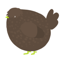 A bark chicken with a speckle pattern