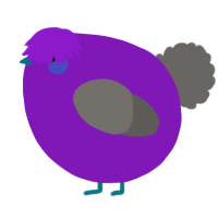 A violet and grey chicken