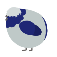 A silver and navy chicken with a head pattern