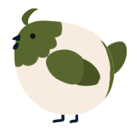 A cream and olive chicken with a head pattern