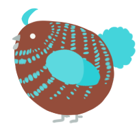 A russet and aqua chicken with a bar pattern