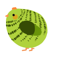 A indigo and lilac chicken with a bar pattern