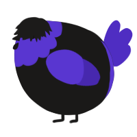 A sable and indigo chicken with a head pattern