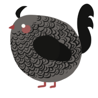 A grey and black chicken with a double-lace pattern