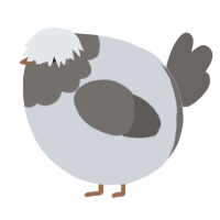 A mist and grey chicken with a head pattern