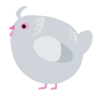 A mist chicken with a neck-band pattern