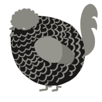 A sable and ash chicken with a lace pattern