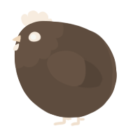 A bark chicken with a head pattern