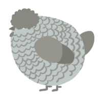 A silver and ash chicken with a lace pattern