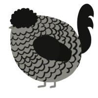 A ash and black chicken with a lace pattern