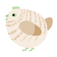 A cream and beige chicken with a bar pattern