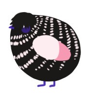 A sable and rose chicken with a bar pattern