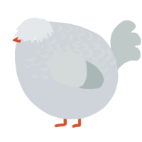 A mist and silver chicken with a half-lace pattern